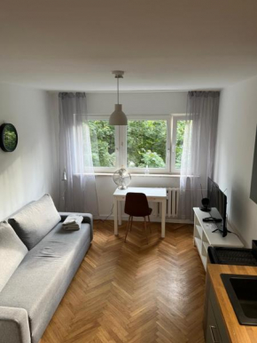 Przytulna kawalerka typu studio, Warsaw